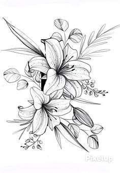 a black and white drawing of flowers