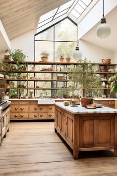 a kitchen filled with lots of potted plants