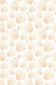 an abstract white background with large fan like shapes on the bottom, and light pink petals at the top