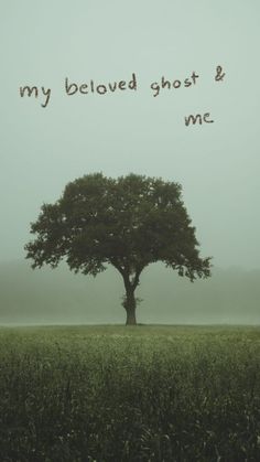 a lone tree in a foggy field with the words my beloved ghost and me written on it