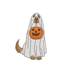 a dog in a ghost costume with a pumpkin