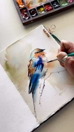 a person is painting a bird with watercolors