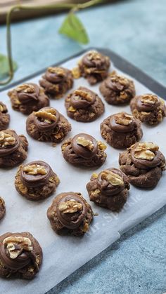 chocolate cookies with walnuts and sea salt on a baking sheet, ready to be eaten