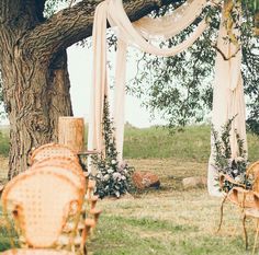 an outdoor wedding setup under a tree