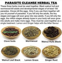 Natural Dewormer For Humans, Herbal Parasite Cleanse