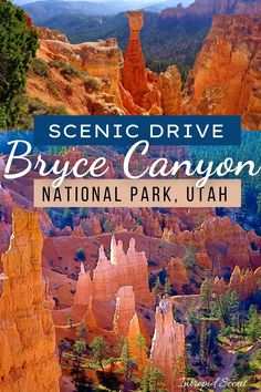 the scenic drive to bruce canyon national park, utah with text overlay that reads scenic drive bruce canyon national park, utah