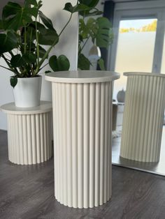 two white vases sitting on top of a wooden table next to a potted plant