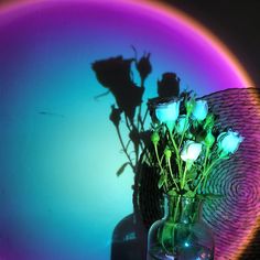 a vase filled with flowers sitting on top of a table next to a rainbow colored wall