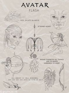 an image of avatars and their meanings in the book avatara's avatar