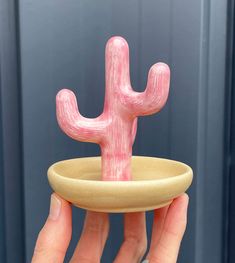 a small pink cactus sitting on top of a wooden bowl in someone's hand