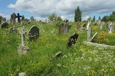 an old cemetery surrounded by tall grass and wildflowers