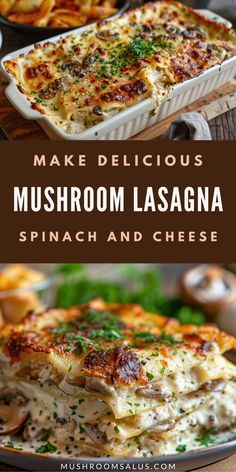 Whip up a comforting Mushroom Lasagna with Grape Tomatoes! ayers of flavor and creamy goodness make this a must-try dish. Perfect for any occasion! Wild Mushroom Lasagna, Portabella Mushroom Lasagna, Mushroom Lasagne Recipes, Learning To Cook Recipes, Lasagna Mushrooms, Mushroom Lasagna Roll Ups, Lasagna Ideas, Mushroom Lasagne