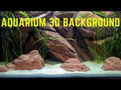 an aquarium filled with rocks and plants next to the words, aquarium 3d background