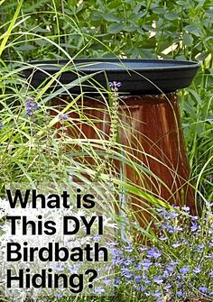 a birdbath sitting in the middle of some tall grass and flowers with text overlay that reads, what is this diy birdbath hiding?