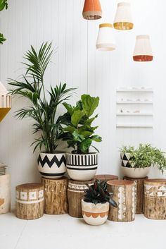 several potted plants sit on top of wooden stumps in front of a white wall