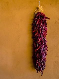 a bunch of red peppers hanging on the wall next to a yellow wall with no one in it