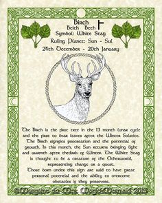 a green and white certificate with an image of a deer