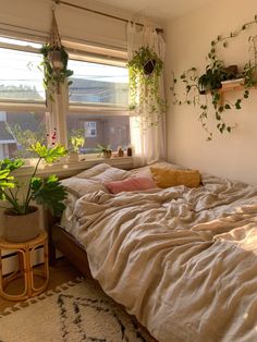 an unmade bed with plants on the window sill and hanging planters above it