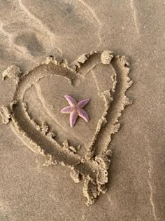 a heart and starfish drawn in the sand