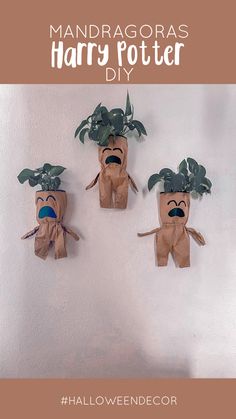 Manualidades DIY Harry Potter Mandragoras Harry Potter Animals, Harry Potter Photo Booth, Diy Mandrake Harry Potter, Decoracion Harry Potter, Harry Potter Birthday Games, Easy Harry Potter Crafts, Harry Potter Crafts For Kids, Harry Potter Decoration, Diy Mandrake