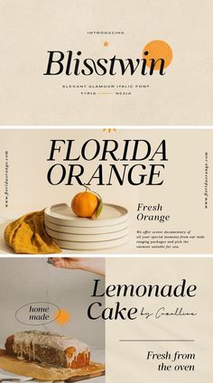 three different types of food are shown in this graphic art workbook, which includes an orange cake and the words'florida orange fresh cake '