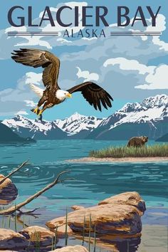 an eagle flying over the water with mountains in the background