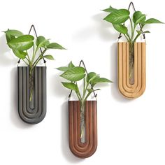 three wall mounted planters with plants in them