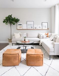 a living room filled with furniture and a potted plant