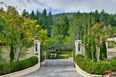 a gated driveway leading into a lush green forest