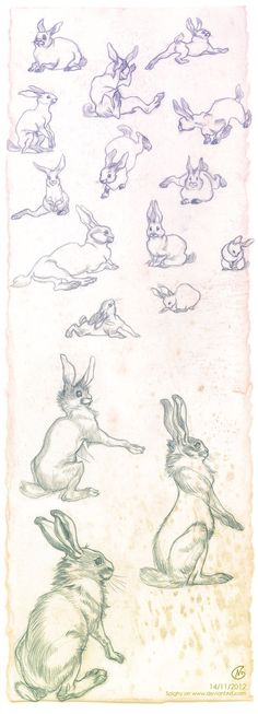 a drawing of rabbits in various positions on the ground, with one sitting down and another standing up