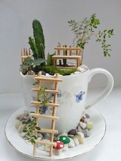 a cup filled with rocks and plants on top of a saucer