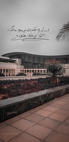 an image of a building that is in the middle of some plants and flowers on the sidewalk