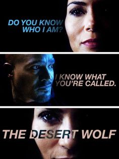 three different movie posters with the words, do you know who i am? and the desert wolf