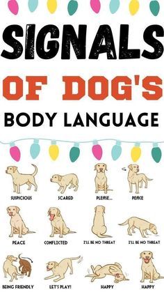 the cover of signals of dogs'body language, with pictures of different dog breeds