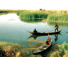 two people in canoes on the water with grass and weeds around them, one man is fishing