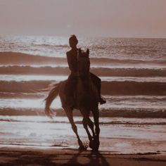 a person riding a horse on the beach