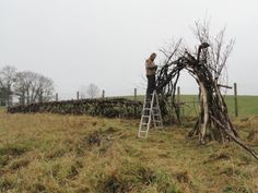 a man standing on a ladder next to a pile of branches in the middle of a field