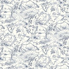 a blue and white world map with lines