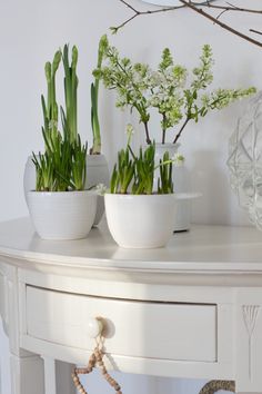 two white vases filled with green plants on top of a wooden table next to a mirror