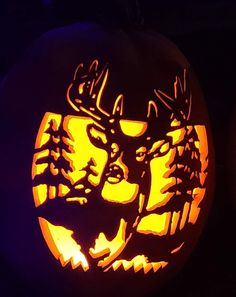 a carved pumpkin with an image of a deer