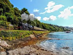 a train traveling down tracks next to a body of water with trees on the side