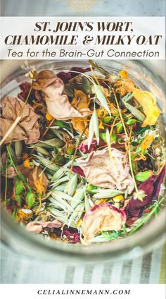 a glass bowl filled with leaves and flowers on top of a striped table cloth, next to the words st johns wort chamoil & milky oat tea for the brain - gut connection