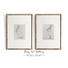 two framed drawings of rabbits in black and white