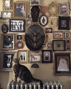 a cat sitting on top of a radiator next to a wall covered in pictures