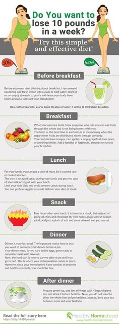 Motivasi Diet, 500 Calorie, Effective Diet, Easy Diet Plan, Kelly Osbourne, Makanan Diet, Diet Vegetarian, Dr Oz, Diet Motivation