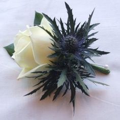 a white rose and some green leaves on a table