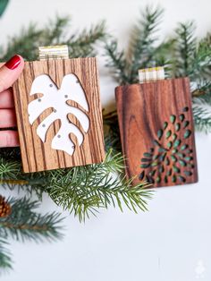 someone is holding two wooden flasks in front of some pine branches and pine cones