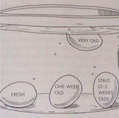 an image of a drawing of eggs in a jar with labels on them that read very old, one week, 2 - 3 weeks, and fresh