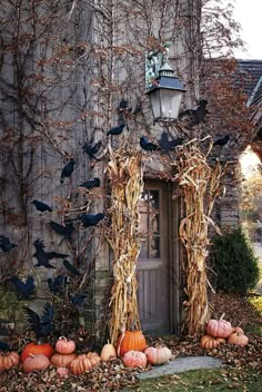 pumpkins and gourds are arranged in front of an old building with vines