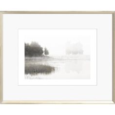 a black and white photo with trees on the water in front of it is a foggy